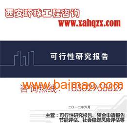 西安箱包项目商业策划书 批发、厂家与供应商整合的商务信息咨询方案